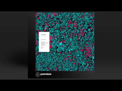 Premiere: Julian Wassermann, Raphael Mader - Moment Of Clarity - Oddity Records