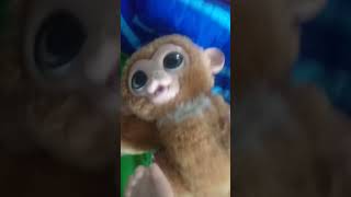 una nuava serpresa XD