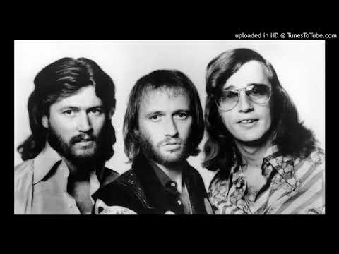 Saturday Night Fever (Dim Zach ReWork)