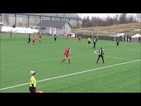 ONS/2 - Pallokissat/2