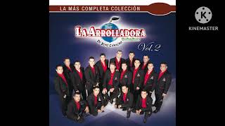 La Arrolladora Banda El Limón De René Camacho - Regálame Una Noche (Audio)