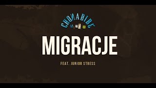 Chonabibe - Migracje (feat. Junior Stress) [Audio]