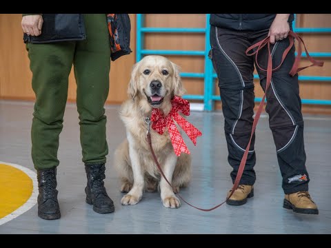 Meet Parker, The Therapy Dog 🐕| Helping Children in Ukraine