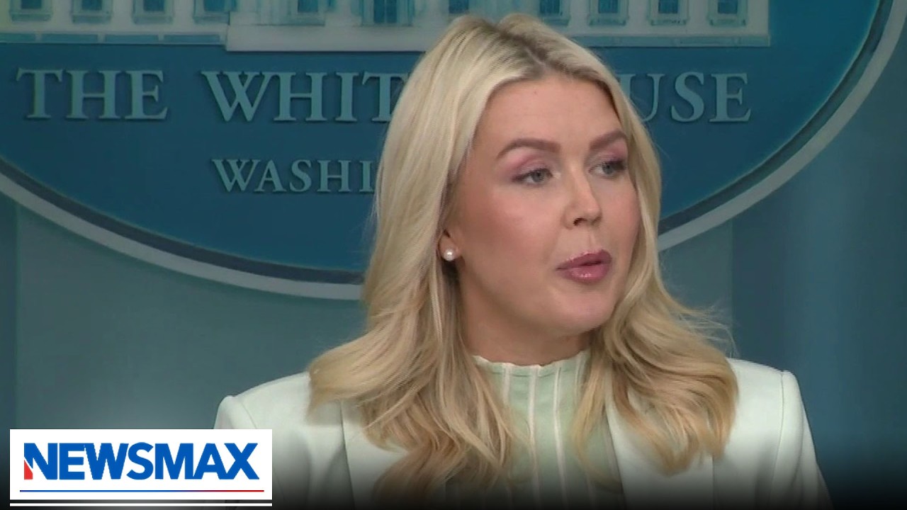 LEAVITT: Democrats want this chaos, want to distract