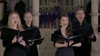 Download lagu Sonoro: Locus iste by Anton Bruckner mp3 Download lagu Sonoro: Locus iste by Anton Bruckner mp3