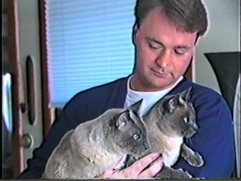 .......More Now Than Ever