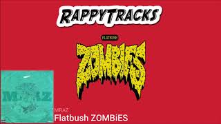 Flatbush Zombies - Mraz