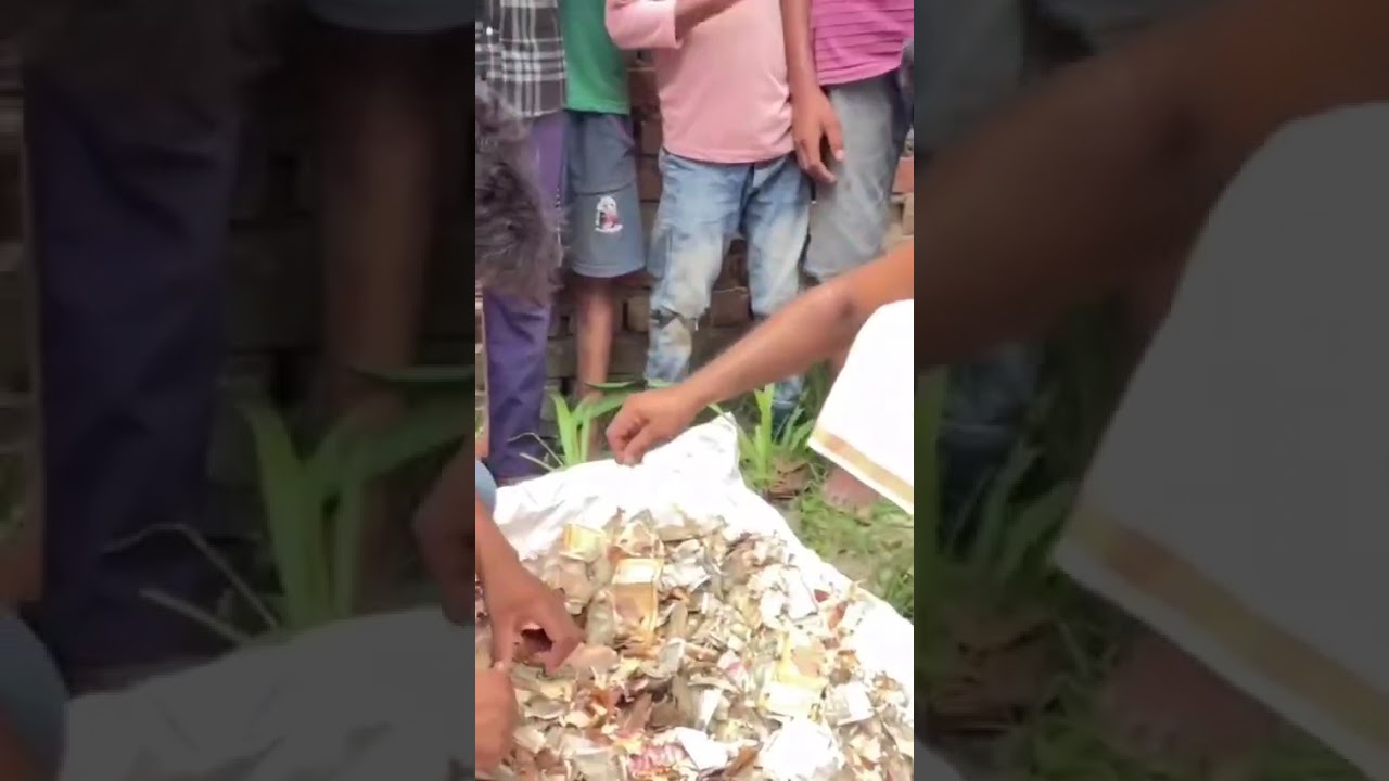 8 साल की बचत… चूहों ने कुतर दिए लाखों के नोट! 😱🐀💸