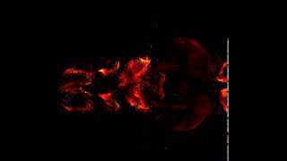 Download lagu TH-Alexa594-Dopaminergic neurons in an entire iDisco cleared P1 mouse brain mp3 Download lagu TH-Alexa594-Dopaminergic neurons in an entire iDisco cleared P1 mouse brain mp3