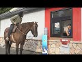 Riding A Horse Through A Drive Thru
