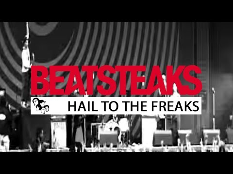 Hail to the Freaks - Beatsteaks