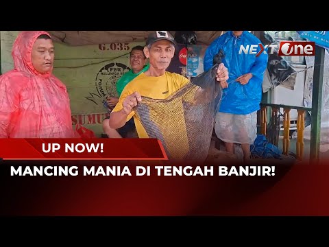 Berkah Banjir, Warga Malah Panen Ikan di Jalanan | UP NOW!