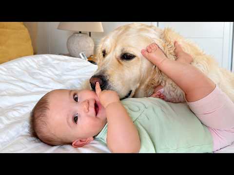 YouTube 썸네일