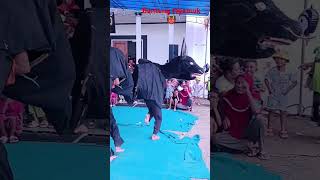 Download lagu Banteng Ngamuk Krido Singo Manggolo👹 #jaranan #shorts #trending #fypシ゚ #dawangan #barongankendal mp3