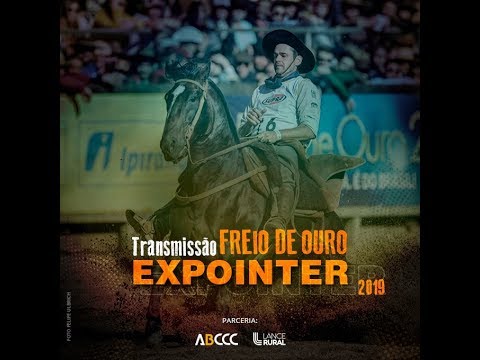 [ EXPOINTER 2019 ] Continuação do Julgamento Morfológico