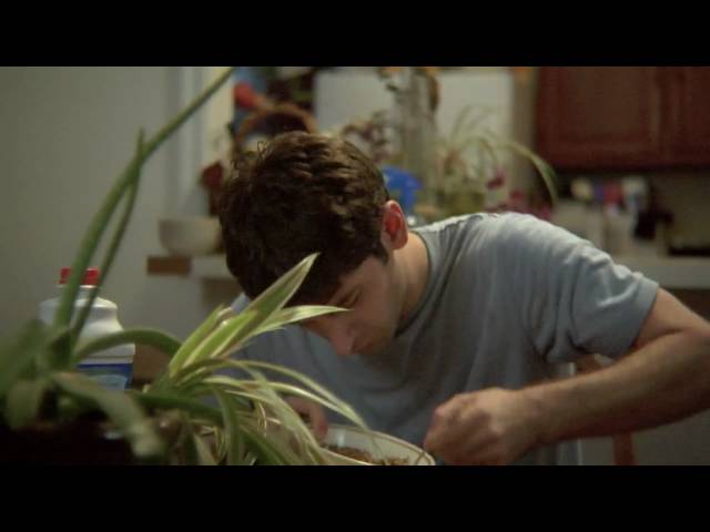 TRAILER: Happy Birthday Harris Malden (HD)