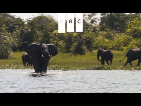 The Misadventures of Romesh Rangathan TNG PROMO #S3OpenUp #BBCPrimetime