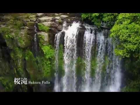 SakuraFalls -20170517-