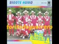 Bigote Humo-LOS HERMANOS HERRERA DE TEJUPILCO,