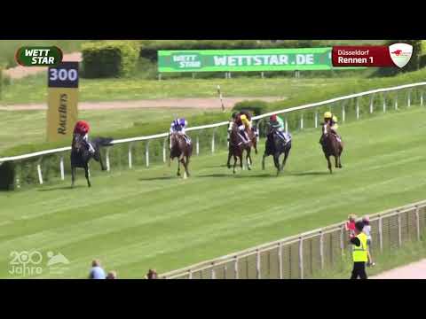 Persil-Rennen - Maiden