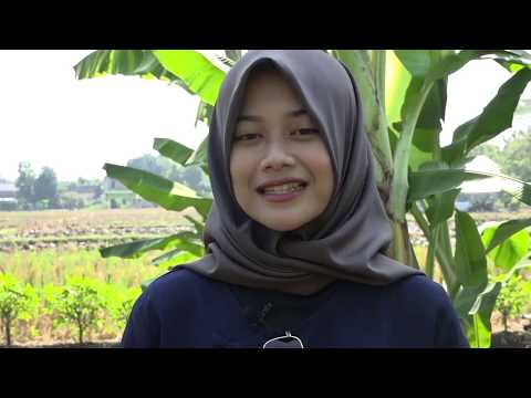 , title : 'Lahan 1 Hektar Jadikan Kebun Tumpang Sari | AGRIBISNIS'