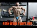 IFBB Pro John Jewett: Peak Week Log: NY Pro 4 Days out