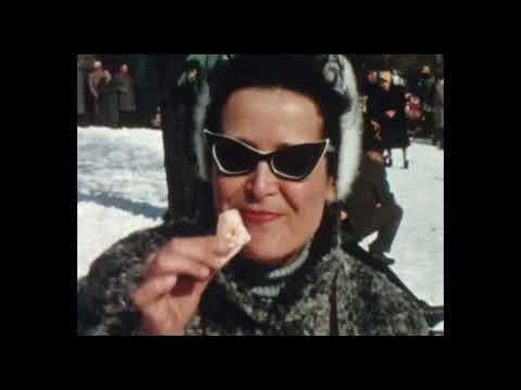 Elfriede Jelinek - Die Sprache von der Leine lassen