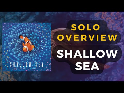 Shallow Sea Board Game Solo Overview | DaniCha