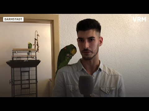 Chopper, Luci und die Polizei