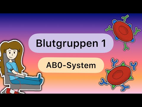 Blood Groups PART 1: The ABO SYSTEM