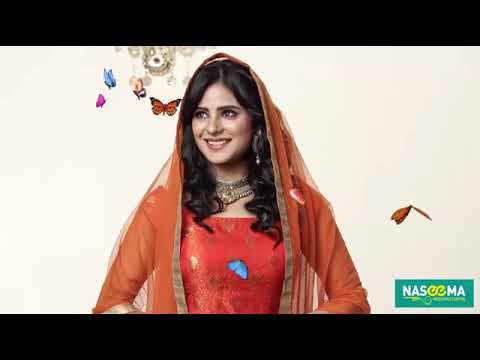 Fashion Forward: Exquisite Bridal Fashion at Naseema Wedding Center