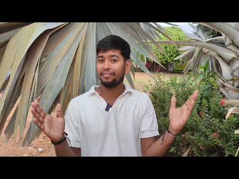JOVENES POR EL CAMBIO 2026