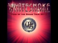 Blindman (Live) Brussels - Whitesnake - June 19 ...