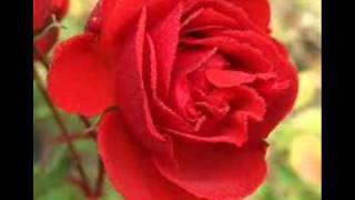 Download lagu Nining Meida -  Puspa Reuma (Degung).wmv mp3