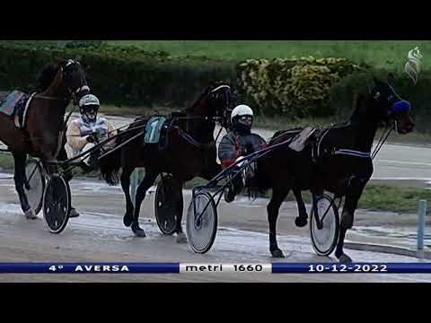 Aversa trotto 10 Dicembre 2022 - 4° Corsa