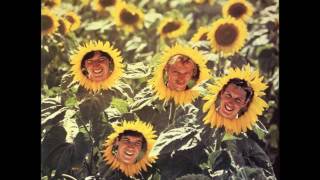 Sunnyboys - Colour of Love