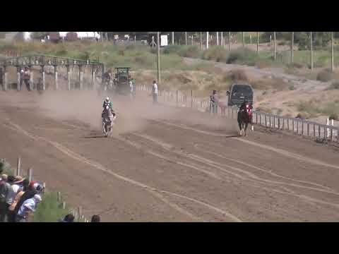 PAMPA ROSENDO  Club Hípico Añelo - Añelo - Neuquén - 12-03-2023