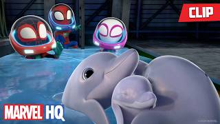 Download lagu Team Spidey's Dolphin Rescue 🐬🌊🕸️ | Spidey and His Amazing Friends | @MarvelHQ mp3