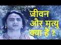 What Is Life Yudhishthir And Dharmaraj Yam Conversation Bhagwat Geeta Geeta Gyan