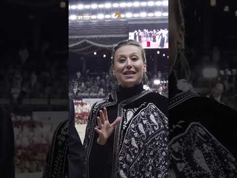 GCAT Doha 2024 - The Top 3 Years Old Colts