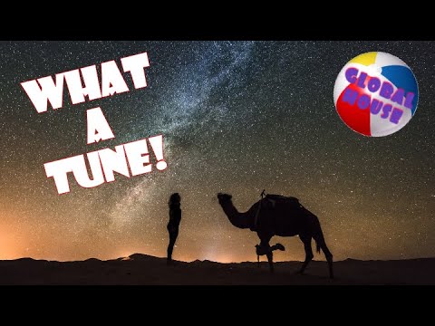 Serge Devant ft Nadia Ali - 12 Wifes In Tehram - David Tort Remix. Dance Music 2020 Global.