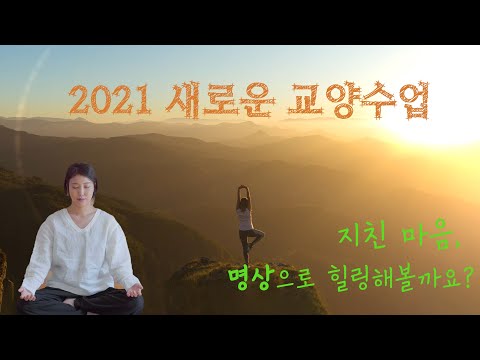 성균관대학교 영어영문학과 MBSR 요가 명상 수업