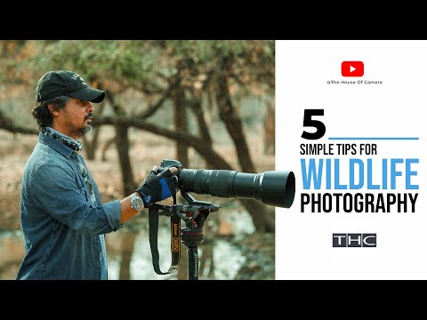 5 Simple Tips for WILDLIFE PHOTOGRAPHY | हिंदी में