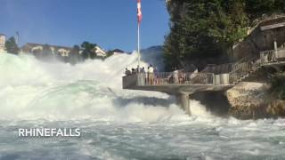 Switzerland Tour- Zurich - Interlaken - Jungfrau - Grindelwald - Black Forest - Rhinefalls - Lucerne