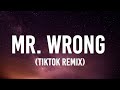 Mary J Blige Mr Wrong Lyrics Feat Drake Me And Mr Wrong Get Along So Good Tiktok Remix