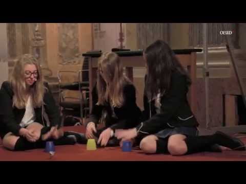 Klimawandel: Auswirkungen auf unsere Vogelwelt - Sacre Coeur Pressbaum (Sparkling Science Slam 2014)