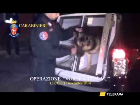 SQUINZANO   COLPO ALLA SCU: ARRESTATO IN UNGHERIA IL LATITANTE ANTONIO PELLEGRINO