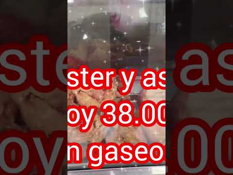 asadero de pollo en PORE CASANARE