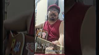 I Gotta Get Drunk (Willie Nelson)