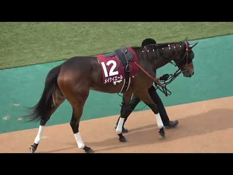 【メイケイエール】【リフレイム】 2022 京王杯スプリングカップ 2頭だけ パドック 現地映像 クセ強対決